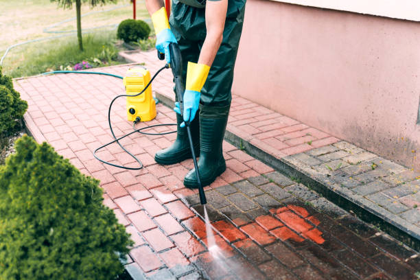 Best Pressure Washing Near Me  in North Fort Lewis, WA