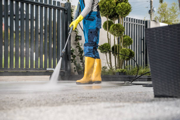 Best Roof Power Washing Services  in North Fort Lewis, WA